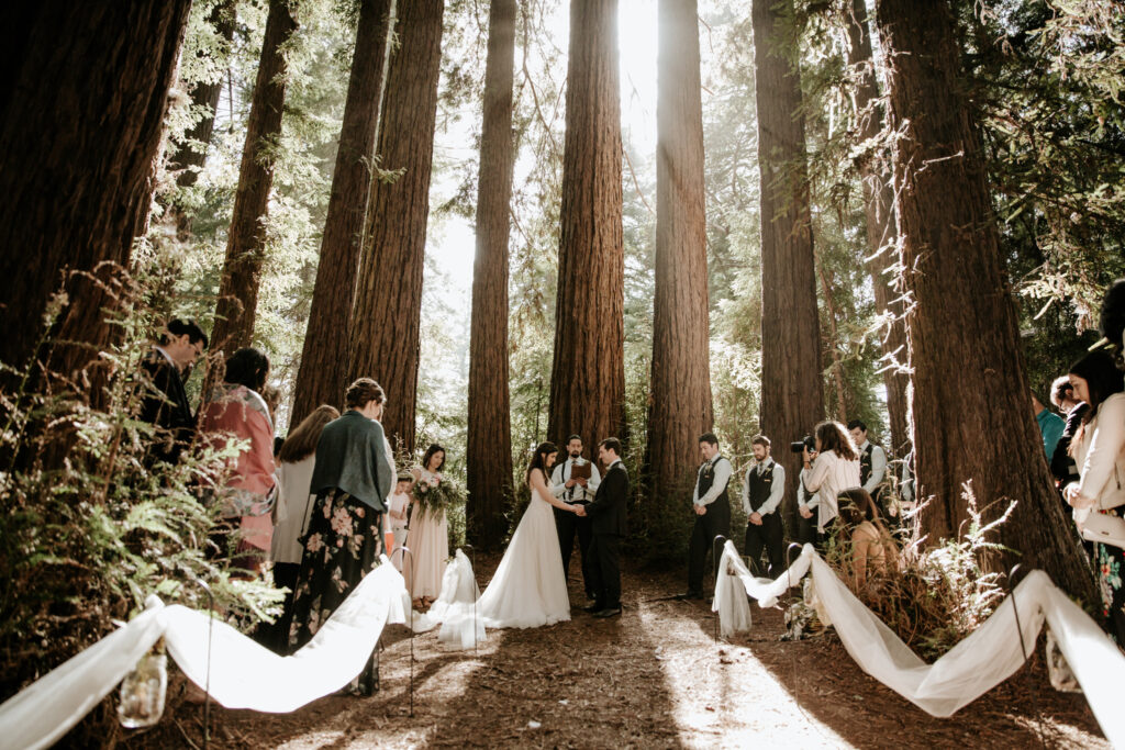 wedding couple vows in redwoods