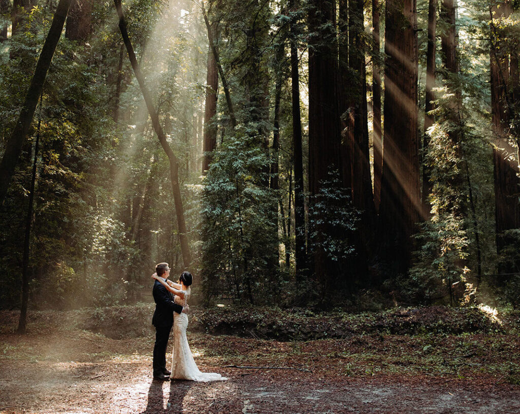wedding couple dancing in redwoods