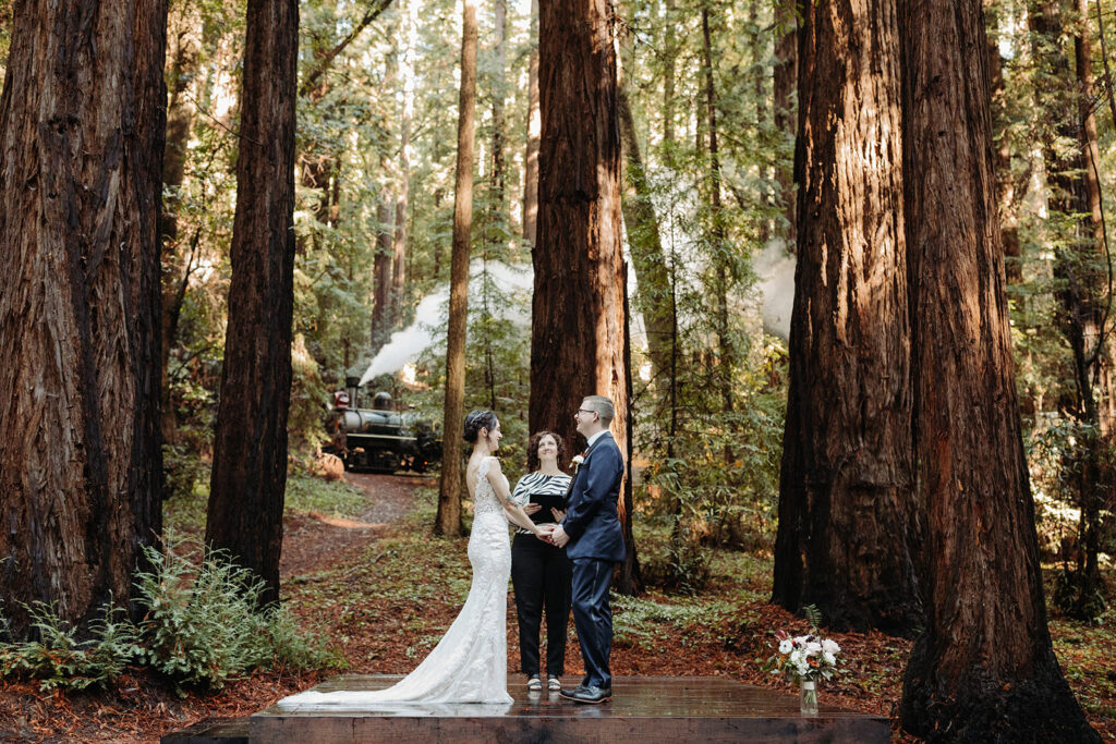 wedding couple elopement in redwoods steam train background